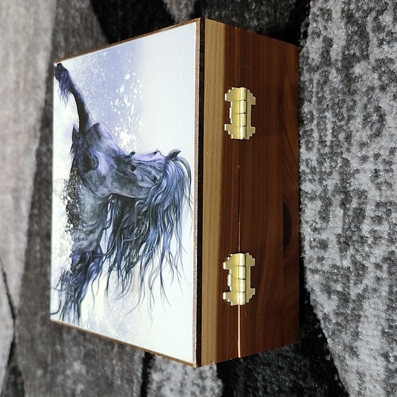 VINTAGE WINTER THUNDER HORSE MACKINAC ISLAND MICHIGAN CEDAR DECOR KEEPSAKE BOX - Picture 6 of 15